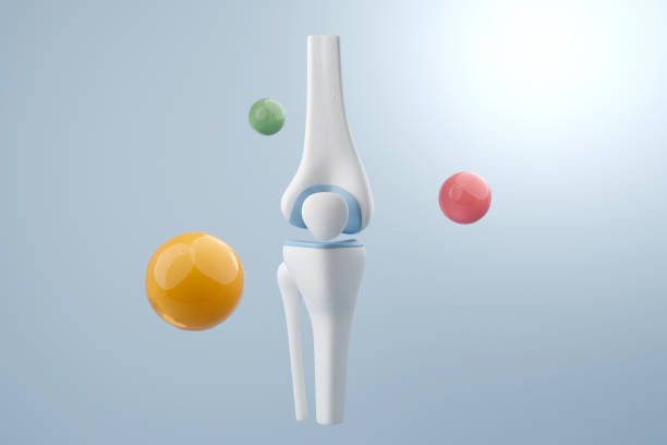 istock Knee with calcium and collagen 2160234322