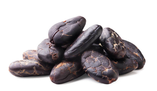 istock Pile of cocoa beans close-up on a white background. Isolated 2160235697