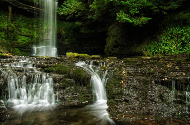 istock Deep green forest with small waterfall. Earth day, International Waterfall Day, International Day of Forests, World Environment Day 2160238986