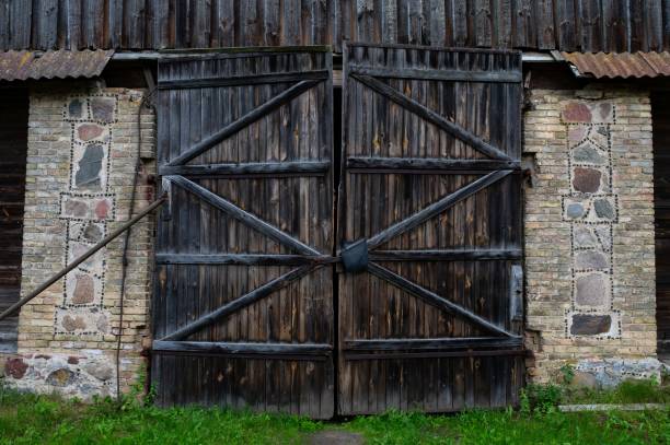 Old weathered black barn door slightly open against white wooden wall with dirty windows in tollesbury, england, in a sunny day