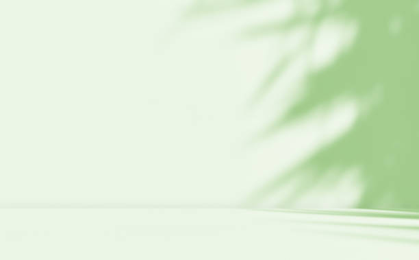 istock Empty green room studio with sunlight effect shadow of leaves. 2160240310