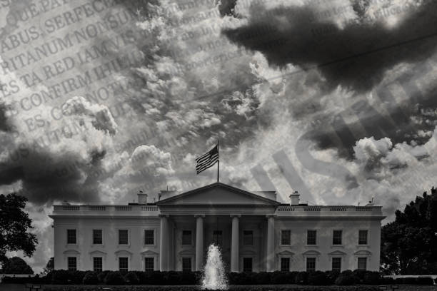 istock Democratic National Convention 2024 President 2160242264
