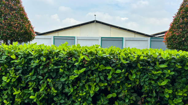 istock old house in the village 2160243922