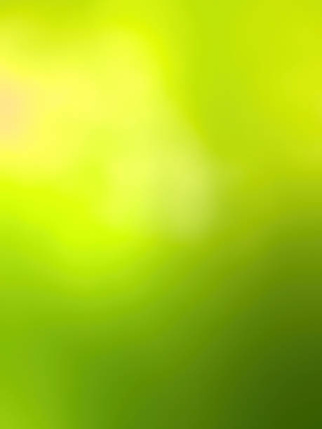 istock Abstract blur green  background.Pastel color wallaper 2160244862