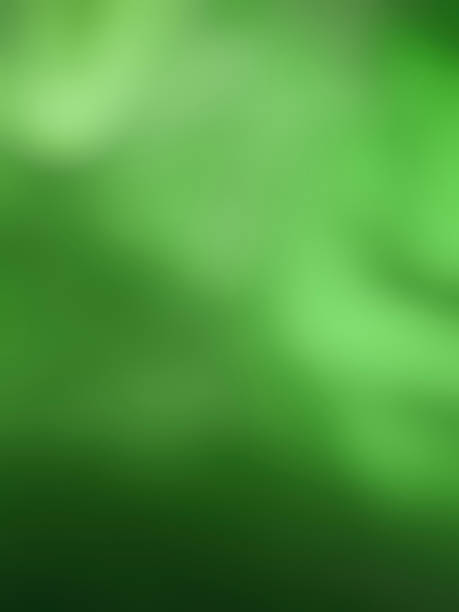 istock Abstract blur green  background.Pastel color wallaper 2160244921