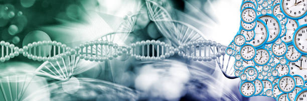 istock The Unfolding Tapestry of Time and Genetics 2160245218