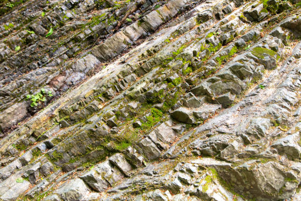 Mountain rocks in green vegetation as a background. Texture.