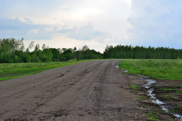 a dirt road with a forest and rainy sky on background copy space
