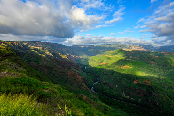istock Panoramic view of Waimea Canyon in Hawaii 2160253572