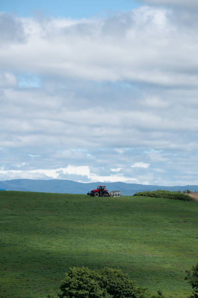 istock Tractor on a green meadow with mountains in the background. 2160258936