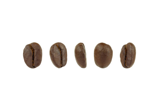 Details of coffee beans and cups taken in a photographic studio