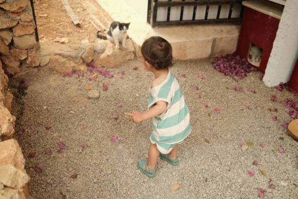 Toddler walking on gravel in striped dress looking at cat