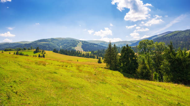 istock mountainous countryside landscape in summer 2160273257