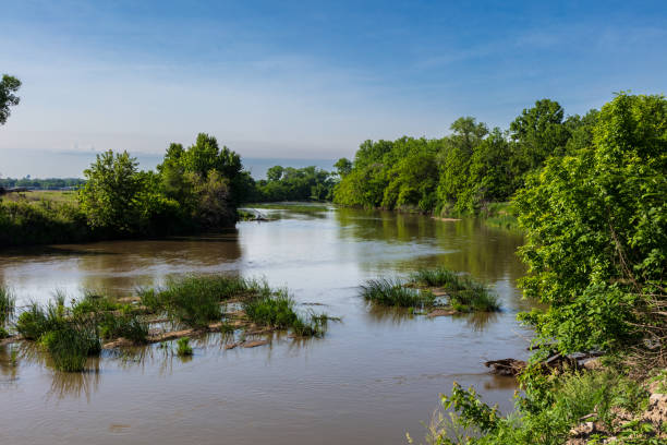 Calm river, green plants and trees on banks. blue sky, clouds above. stock photo