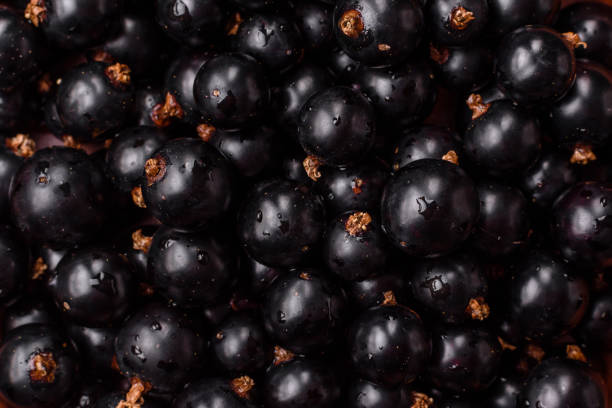 Ripe blackcurrant berries in droplets of water in a ceramic bowl on a dark concrete background