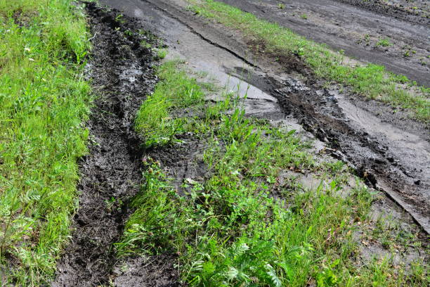 Dark muddy side road and meadow with puddle