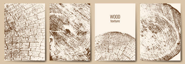A set of posters with cross-sections of trees. A set of posters with cross-sections of trees. Tree trunk growth rings. Vector illustration. Design for menu, booklets, cover, background, flyer. wood log close up stock illustrations