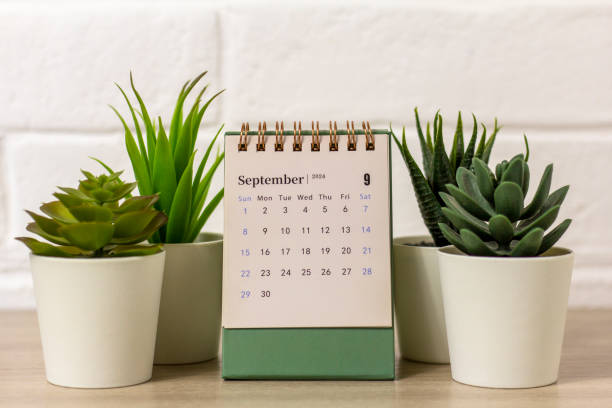 istock Hello September. September 2024 planning calendar on your desktop. 2160284033