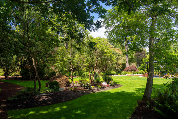 istock The Glades Woodland Garden 2160287207