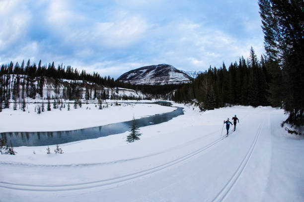 istock Cross-Country Skiing Classic Technique 2160295850