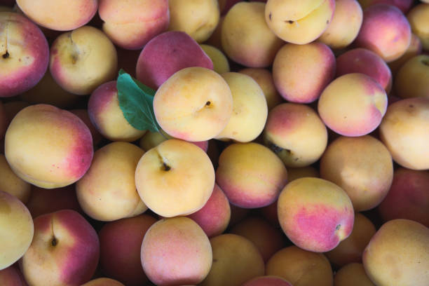 istock Ripe apricots fruit ecological food background 2160296207