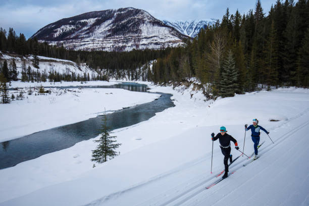 istock Cross-Country Skiing Classic Technique 2160296223