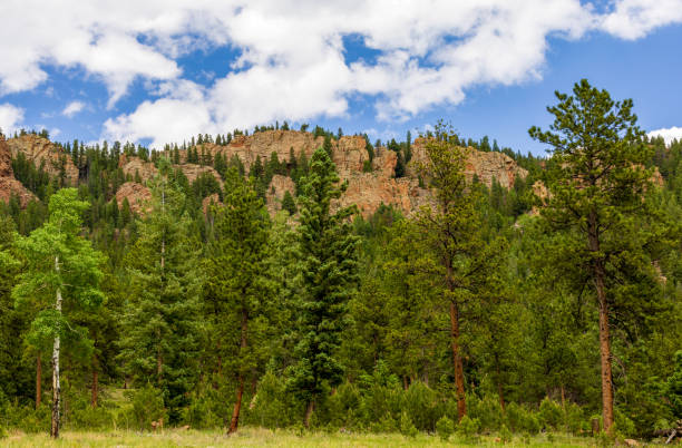 Scenic Rocky landscape in the Staunton State Park, Colorado