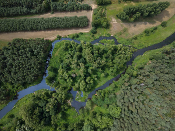 istock A river among grass and forests in the shape of a heart. 2160297020