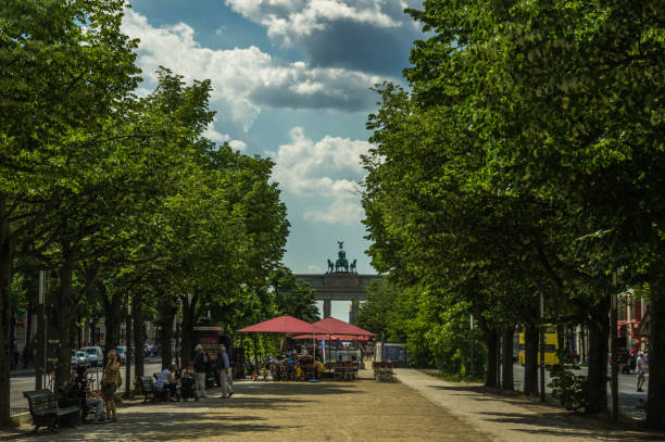 unter den linden boulevard in berlin in germany during summer