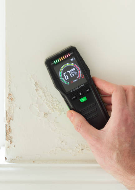 istock Moisture meter against a wall with rising damp, UK home interior 2160304630