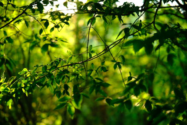 Photo taken at Jikchisa Park in Gimcheon, South Korea
