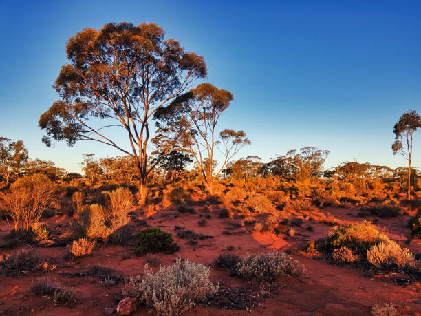 istock Magnificent sunset in the Australian outback 2160305711