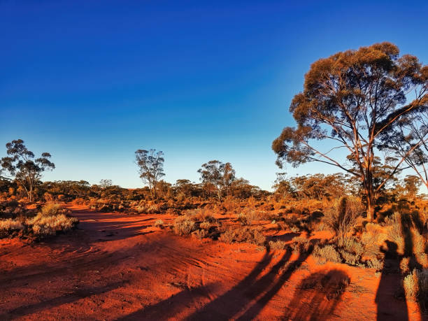 istock Magnificent sunset in the Australian outback 2160305715