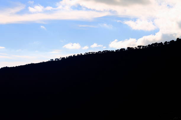 Abstract backlit view of a mountainous forest in El Hierro, Canary Islands