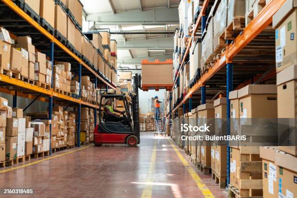 Factory Operator Loading Uniformed Worker Driving And Loading Cardboard Boxes With Forklift ...