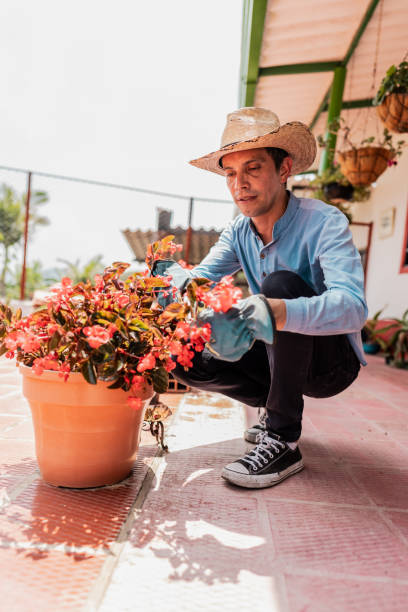 istock Mature man pruning plants at home yard 2160319784