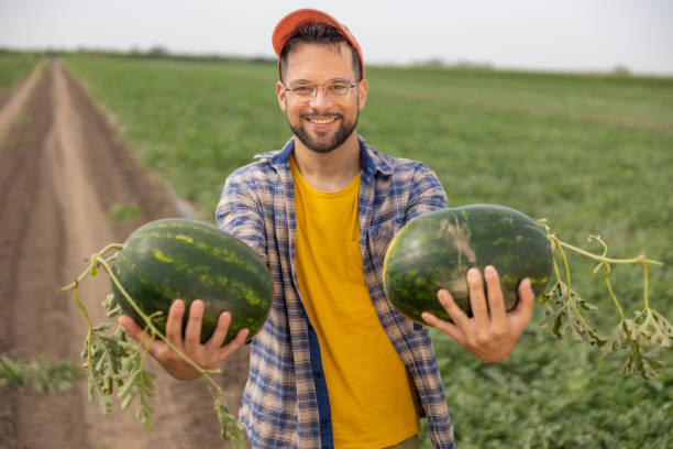 istock farmer holding two watermelons in his hands 2160327370