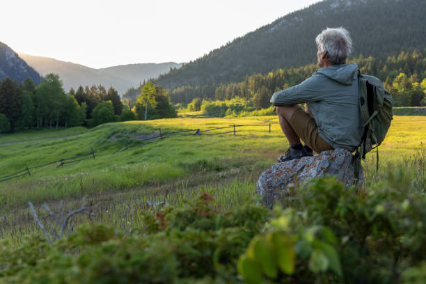 istock Backpacker watches sunrise in mountain meadow 2160331116