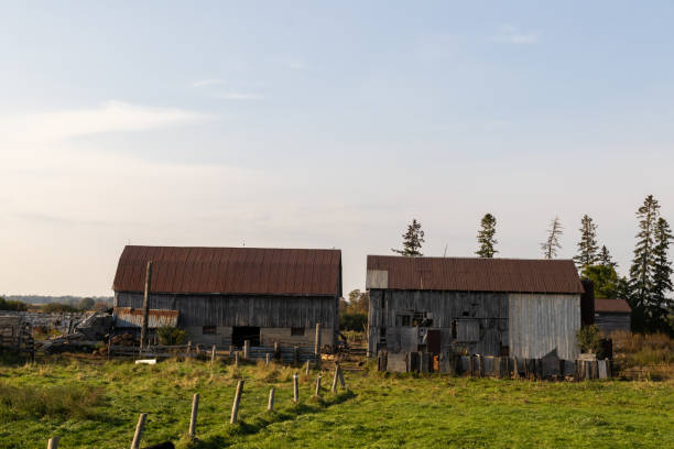 A farm house and haybales near Park Corner, Prince Edward Island