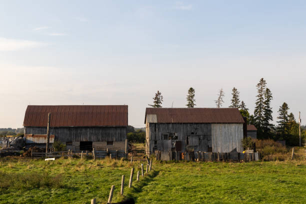 A farm house and haybales near Park Corner, Prince Edward Island