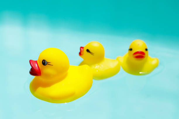 istock Cute yellow rubber ducks floating on blue water 2160338182