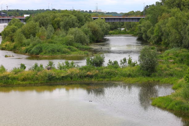 istock Green trees in the bends of the river 2160340751