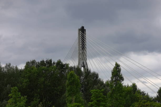 istock Rope bridge pillar and green trees 2160340807