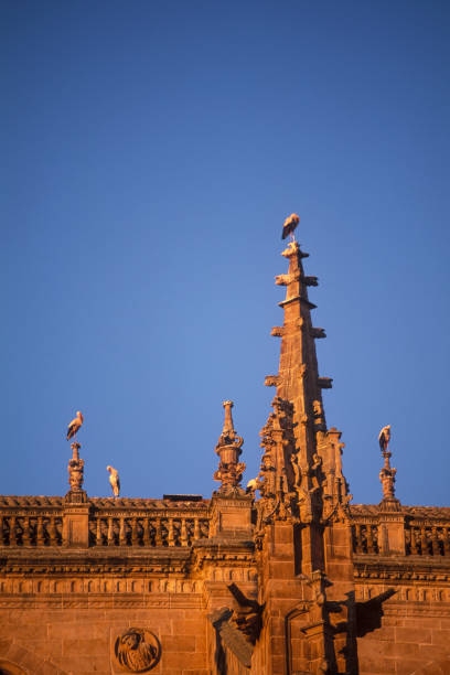Salamanca Cathedral, Castile de Leon, Spain