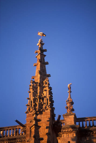 cathedral in the old town of Strasbourg in Alsace