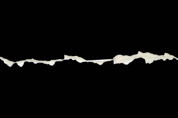 Ripped green color paper on white background with clipping path