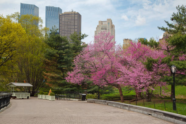 istock Central Park and Time Warner Building skyscraper New York City 2160351849
