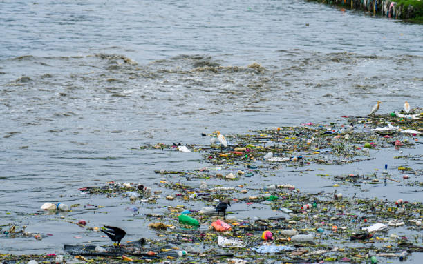 istock monsoon flooding Bagmati river 2160352116