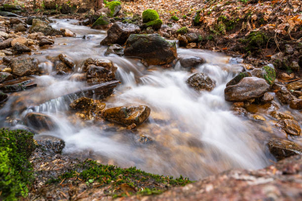 Mountain stream with stone in forest in spring, Ore mountain, Luzec, Czech republic. Motion blur.