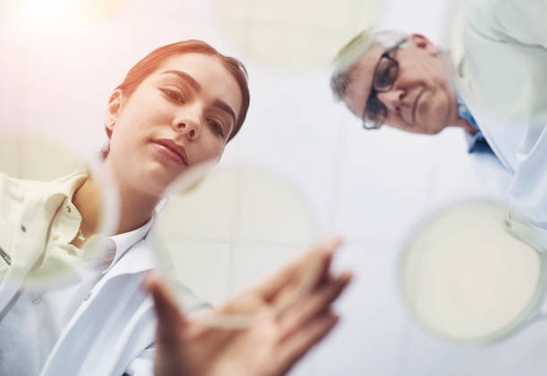 Petri dish, science and teamwork with people in laboratory from below for innovation or research. Breakthrough, discovery or experiment with man and woman scientist at work for cure or vaccine